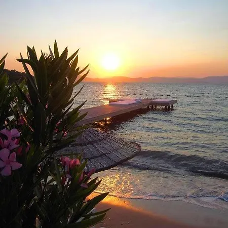 Sunset Bay *